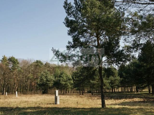 Działka sprzedam, RAJSZEW,, 1001 m2, cena: 425 425 zł