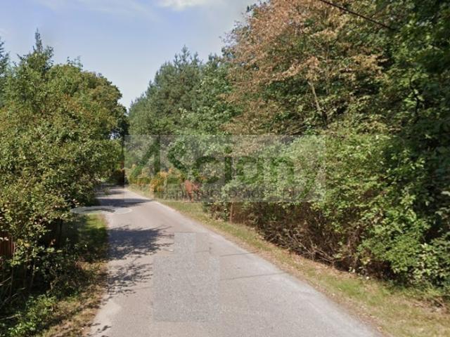Działka sprzedam, RAJSZEW,, 1002 m2, cena: 412 000 zł