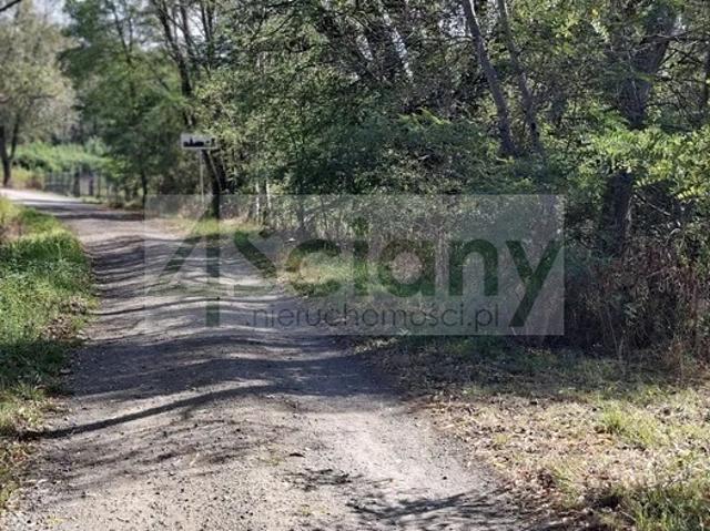 Działka sprzedam, REGUT,, 2100 m2, cena: 514 500 zł