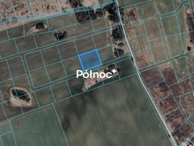 Działka sprzedam, RÓŻNOWO,, 2999 m2, cena: 119 960 zł