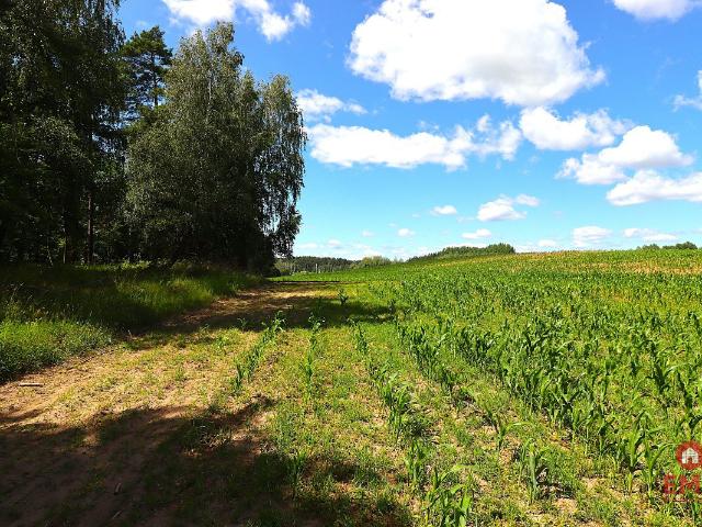 Działka sprzedam, Rożyńsk Wielki, 1100 m2, cena: 64 900 zł
