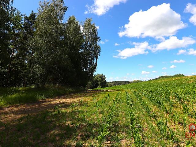 Działka sprzedam, Rożyńsk Wielki, 1100 m2, cena: 64 900 zł