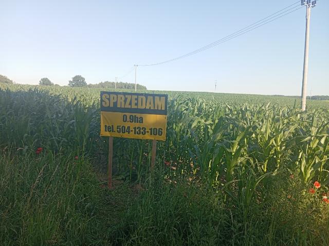 Działka sprzedam, Stary Dzierzgoń, 9248 m2, cena: 130 000 zł