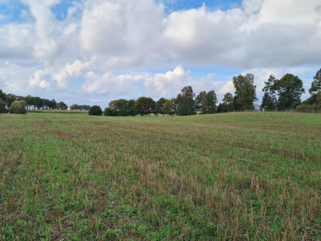 Działka sprzedam, STARY WIEC,, 1413 m2, cena: 67 870 zł