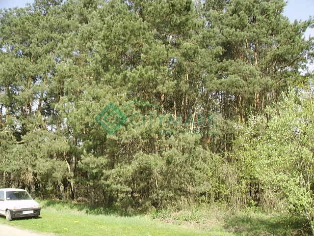 Działka sprzedam, Stara Błotnica, 7600 m2, cena: 228 000 zł
