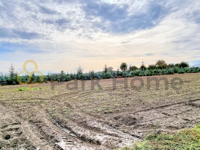 Działka sprzedam, Stara Góra, 1282 m2, cena: 158 000 zł
