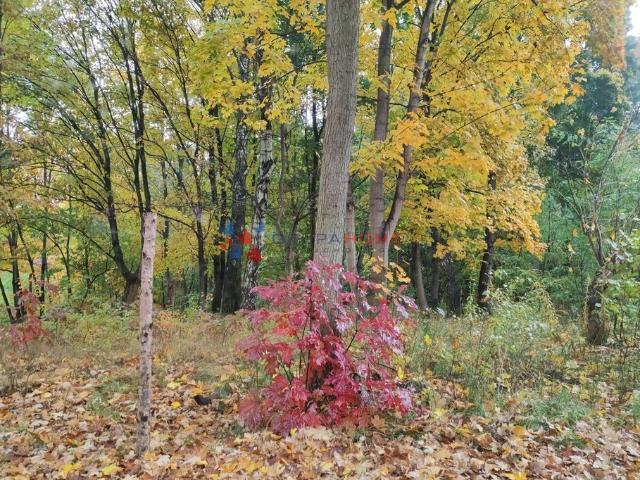 Działka sprzedam, STEFANOWO,, 2600 m2, cena: 579 000 zł