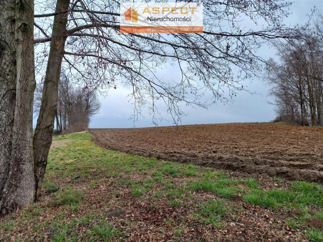 Działka sprzedam, Studzionka, Pszczyna gw, 1374 m2, cena: 154 000 zł
