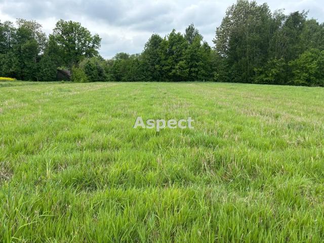 Działka sprzedam, Studzionka, Pszczyna gw, 3628 m2, cena: 340 000 zł