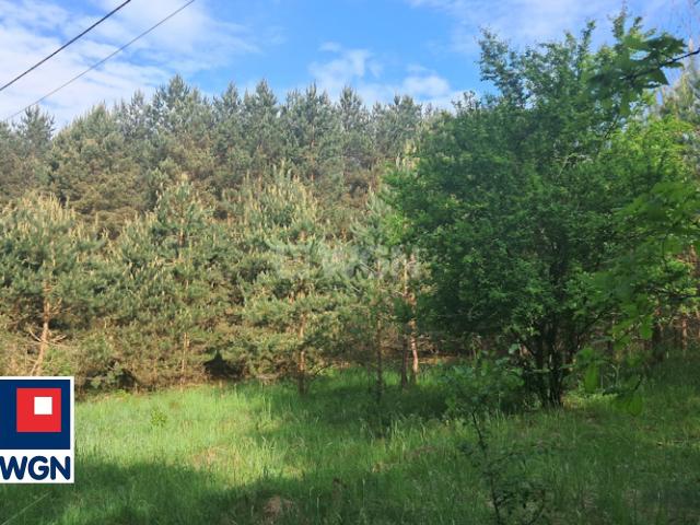 Działka sprzedam, Szafarnia, Szafarnia, 3974 m2, cena: 199 500 zł