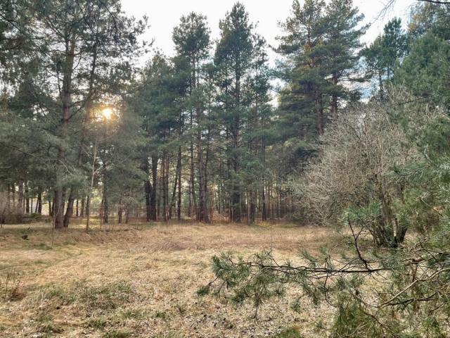 Działka sprzedam, Siemiatycze, wólka nadbużna, 1614 m2, cena: 150 000 zł