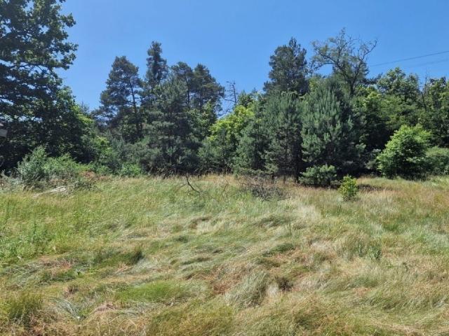 Działka sprzedam, Sieraków, Sieraków, 1700 m2, cena: 129 000 zł