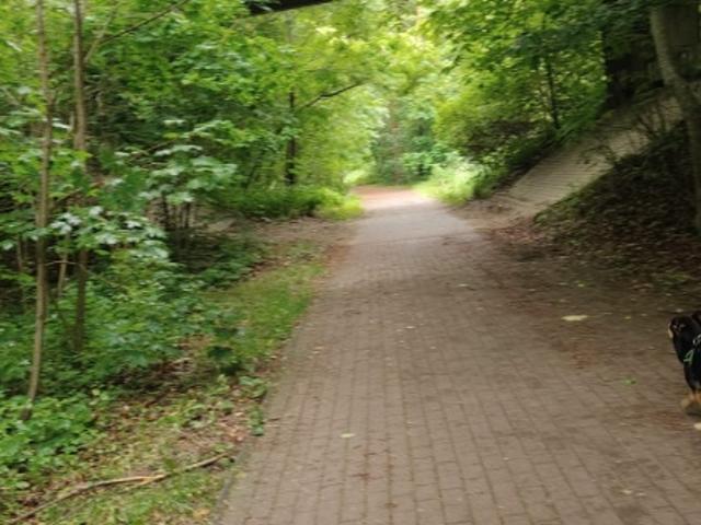 Działka sprzedam, Skarszewy, Nad Stawem, 1000 m2, cena: 150 000 zł