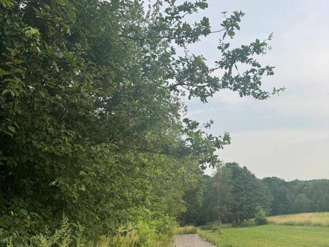 Działka sprzedam, SKAWINA, Mikołaja Kopernika, 5000 m2, cena: 2 100 000 zł
