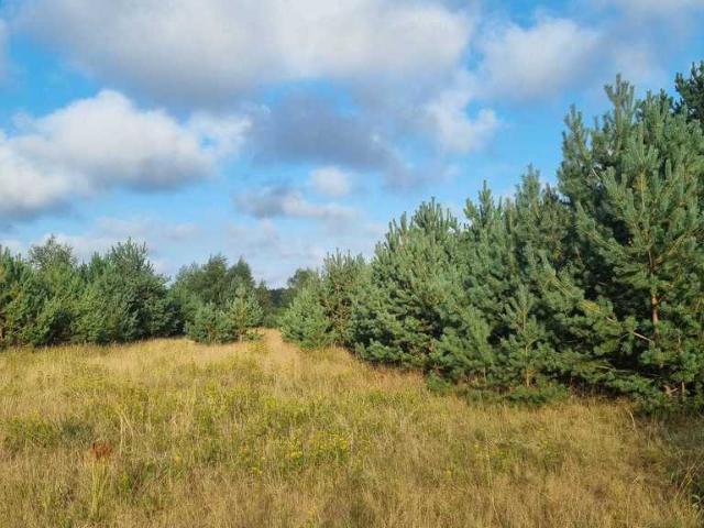 Działka sprzedam, SMOŁDZINO,, 4000 m2, cena: 499 000 zł