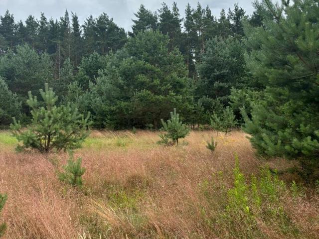Działka sprzedam, SMOŁDZINO,, 1501 m2, cena: 269 000 zł