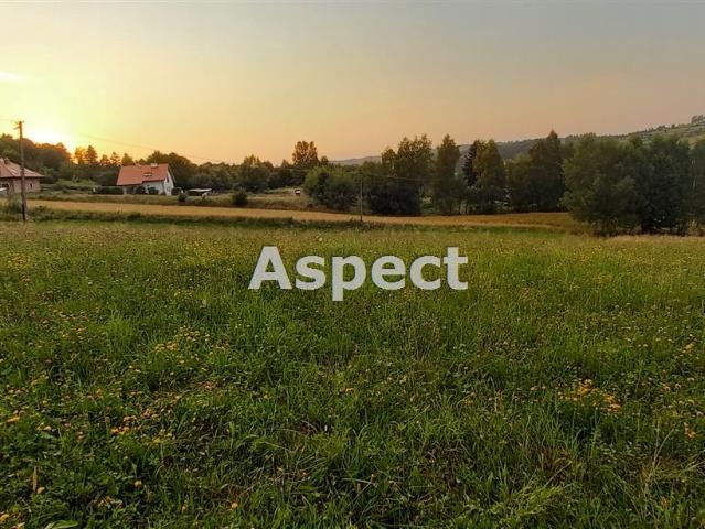 Działka sprzedam, Tyczyn, Borek Stary, 2500 m2, cena: 275 000 zł