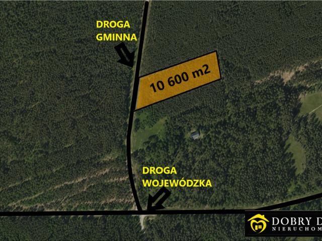 Działka sprzedam, TALKOWSZCZYZNA,, 10600 m2, cena: 60 000 zł