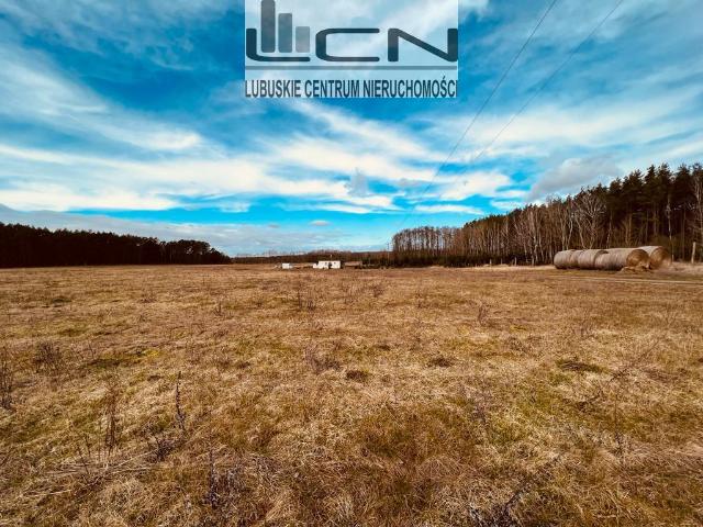 Działka sprzedam, TARNÓW,, 1000 m2, cena: 60 000 zł
