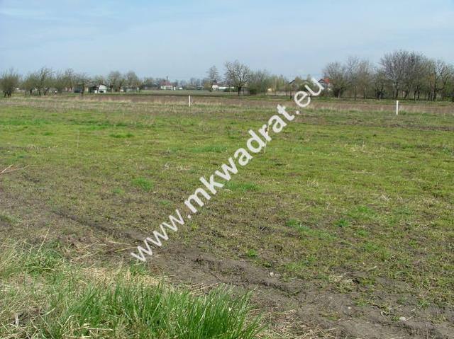 Działka sprzedam, TERESIN,, 1508 m2, cena: 301 600 zł