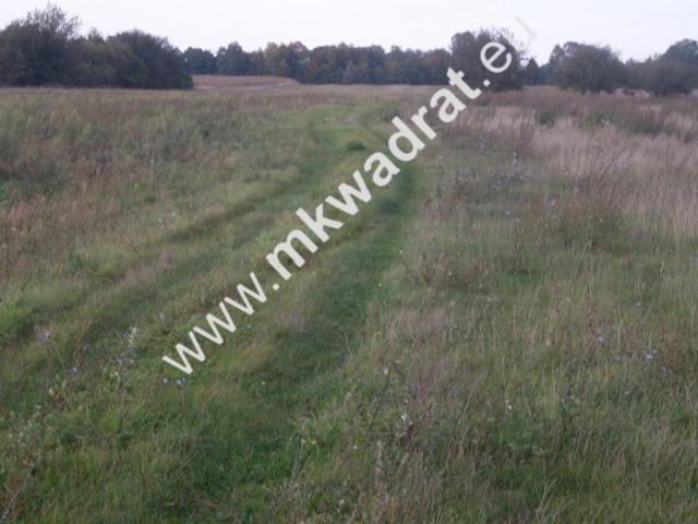 Działka sprzedam, TERESIN,, 19000 m2, cena: 2 400 000 zł