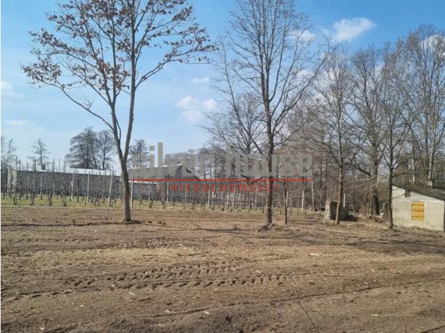 Działka sprzedam, TOMASZÓWKA,, 9000 m2, cena: 590 000 zł