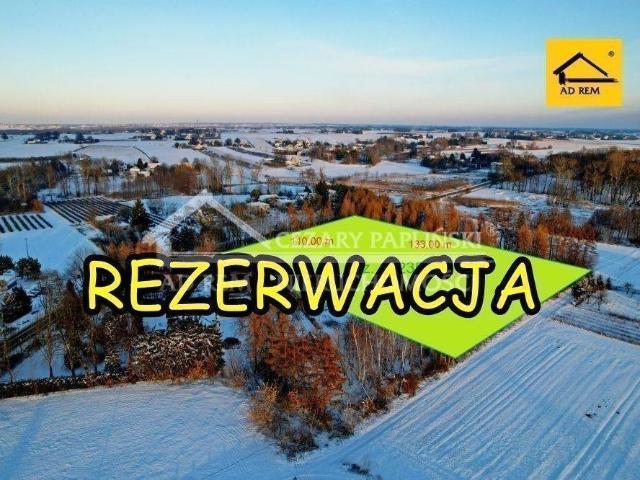 Działka sprzedam, Tomaszowice Kolonia, 9100 m2, cena: 1 650 000 zł