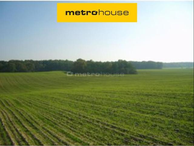 Działka sprzedam, Trzcielin, 121250 m2, cena: 24 250 000 zł