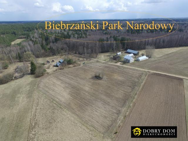 Działka sprzedam, TRZYRZECZKI,, 3000 m2, cena: 59 000 zł