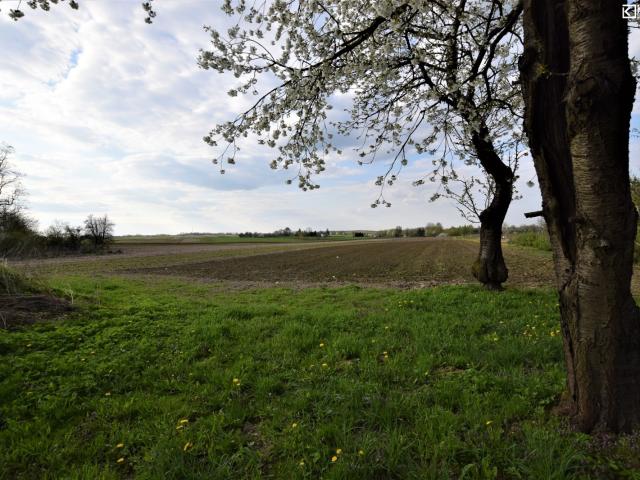 Działka sprzedam, Łubki Kolonia, 4000 m2, cena: 119 000 zł