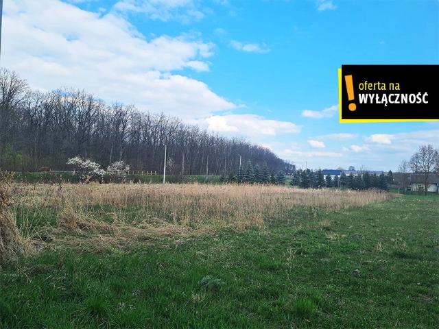 Działka sprzedam, Łubnice, 5200 m2, cena: 229 000 zł