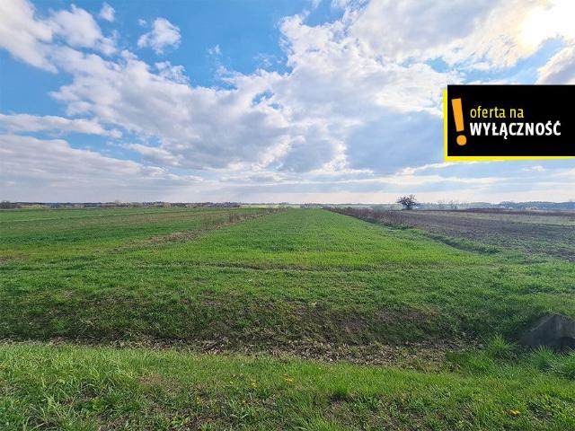 Działka sprzedam, Łubnice, 10800 m2, cena: 99 000 zł