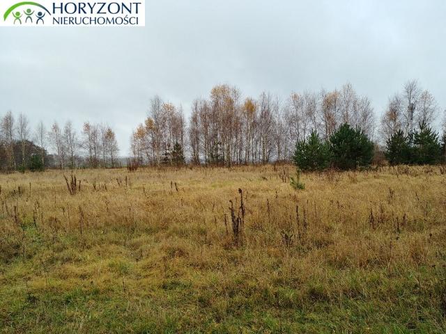 Działka sprzedam, ŻUKOWO,, 17700 m2, cena: 1 250 000 zł