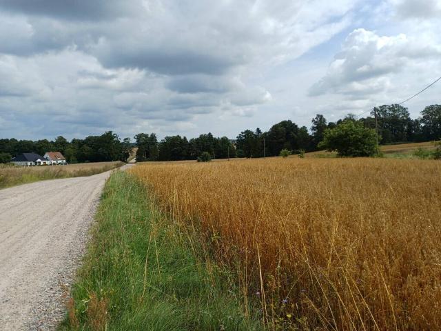 Działka sprzedam, ŻUKOWO,, 1004 m2, cena: 209 000 zł