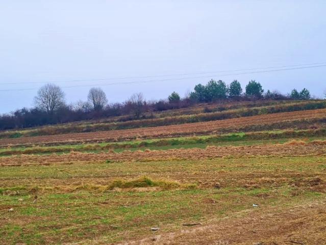 Działka sprzedam, WYSOKIE,, 38800 m2, cena: 385 000 zł