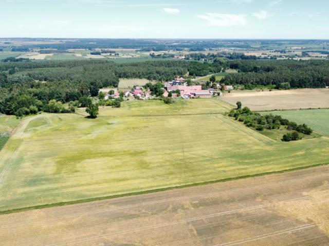 Działka sprzedam, Wąsosz, Baranowice, 70000 m2, cena: 520 000 zł