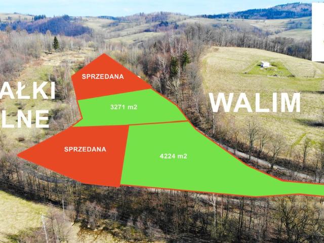 Działka sprzedam, Walim, 3271 m2, cena: 89 000 zł