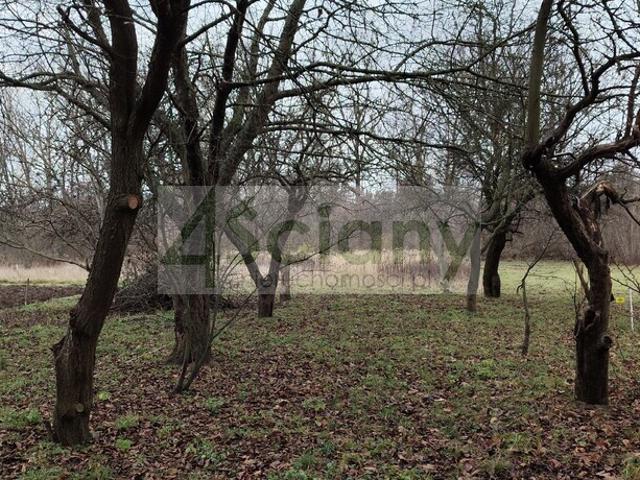 Działka sprzedam, WARSZAWA, BIAŁOŁĘKA,, 2418 m2, cena: 1 790 000 zł