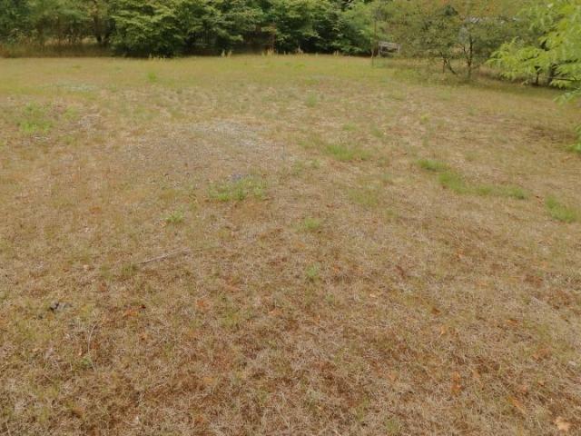 Działka sprzedam, Warszawa, Targówek, 5500 m2, cena: 3 850 000 zł