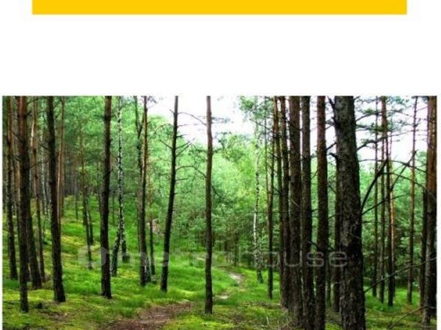 Działka sprzedam, Warszawa, Wawer, 2232 m2, cena: 2 380 000 zł