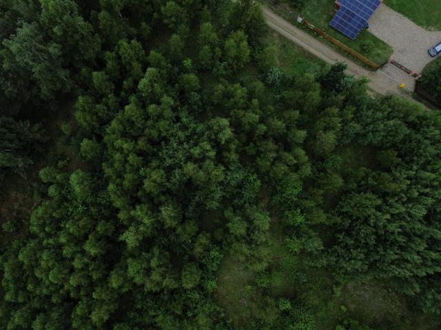 Działka sprzedam, Świętajno, 6600 m2, cena: 390 000 zł