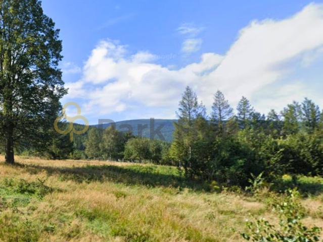 Działka sprzedam, Świeradów Zdrój, 5316 m2, cena: 2 500 000 zł