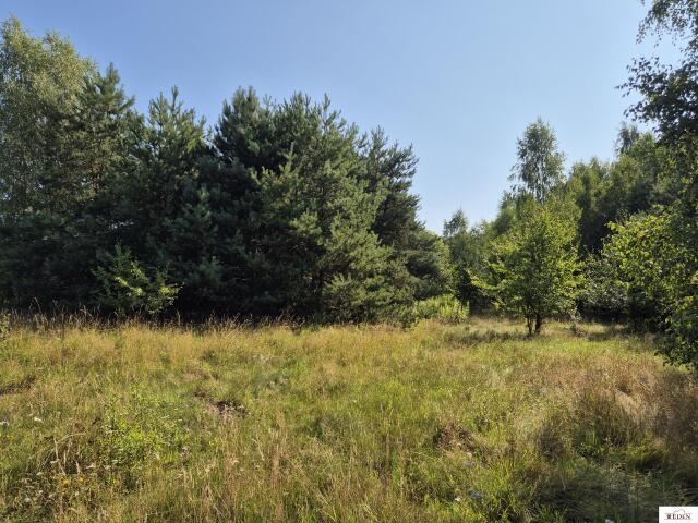 Działka sprzedam, Wodynie, 2999 m2, cena: 100 000 zł