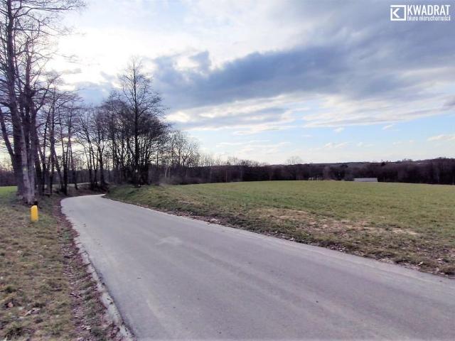 Działka sprzedam, Wojciechów Kolonia Pierwsza, 4834 m2, cena: 240 000 zł
