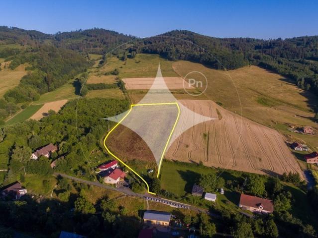 Działka sprzedam, WOJCIECHOWICE,, 12600 m2, cena: 630 000 zł