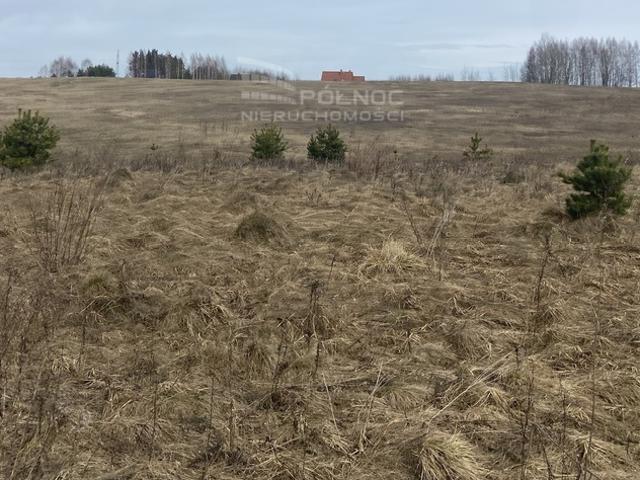 Działka sprzedam, WÓJTOWO,, 30000 m2, cena: 690 000 zł