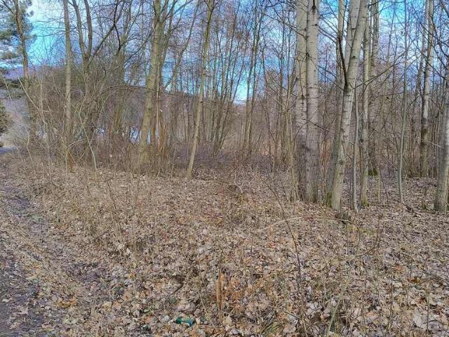 Działka sprzedam, ŻYWIEC, Królowej Jadwigi, 631 m2, cena: 387 450 zł