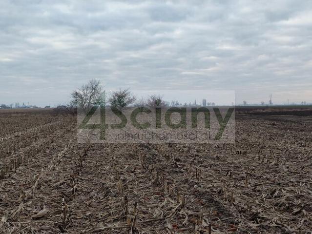 Działka sprzedam, ZABORÓWEK,, 1132 m2, cena: 293 000 zł
