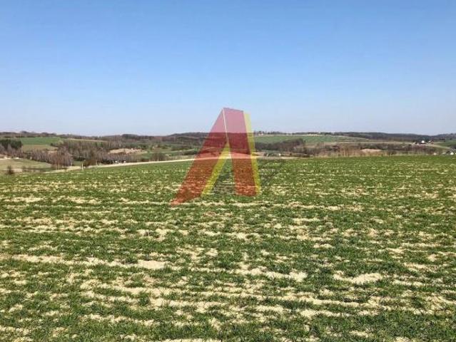 Działka sprzedam, Zabierzów, Kamyk, 9000 m2, cena: 801 000 zł