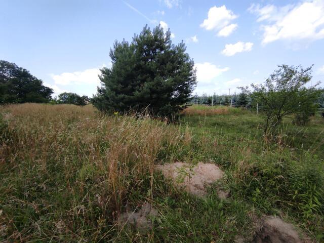 Działka sprzedam, Zawonia, Wiosenna, 906 m2, cena: 290 000 zł